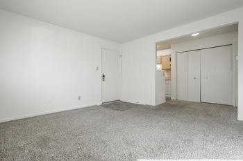 A living room with white walls and carpet, a bifold closet, and a kitchen